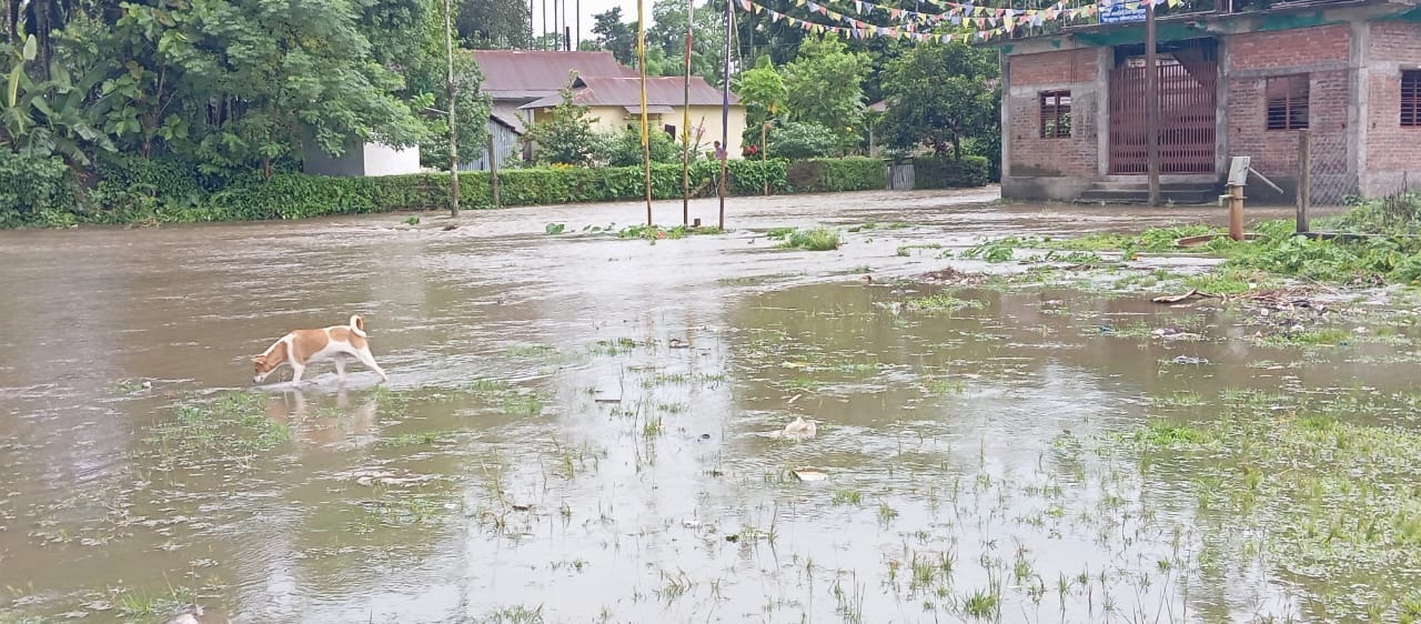 एकक्षण पानी पर्दा मेचपाडा भयो जलमग्न